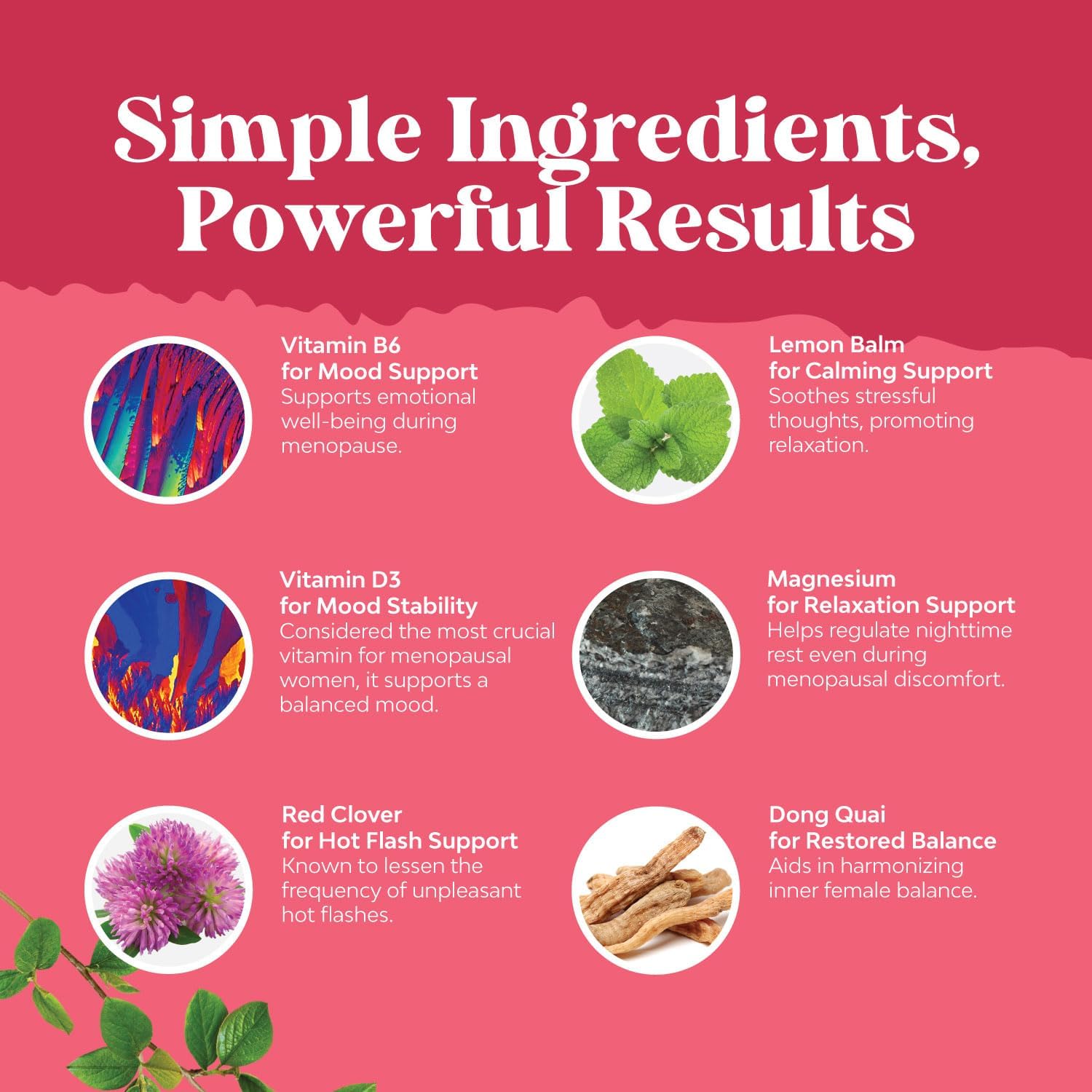 Complete Herbal Menopause Supplement for Women - Female Hormone Balance Capsules for Night Sweats, Hot Flashes & Mood Swings with Dong Quai, Chaste Berry & Black Cohosh Root - 60 Count Pack 24Hr Smart